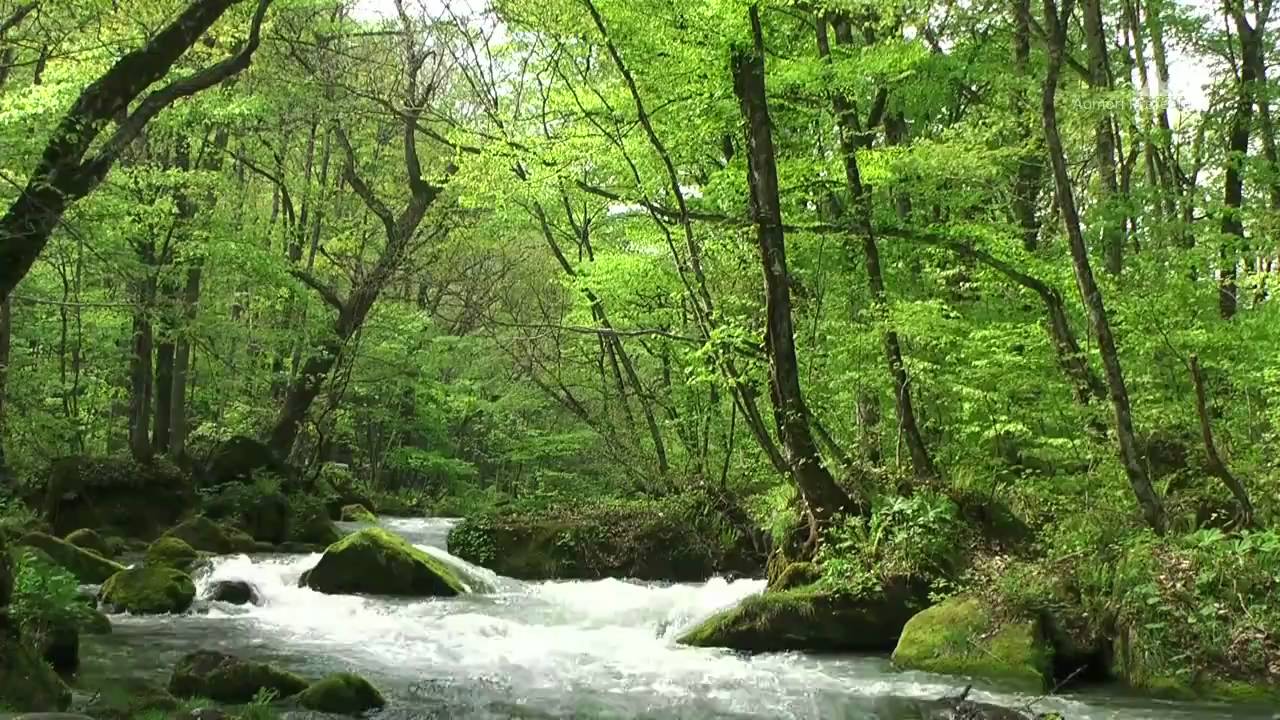 奥入瀬渓流（春夏）