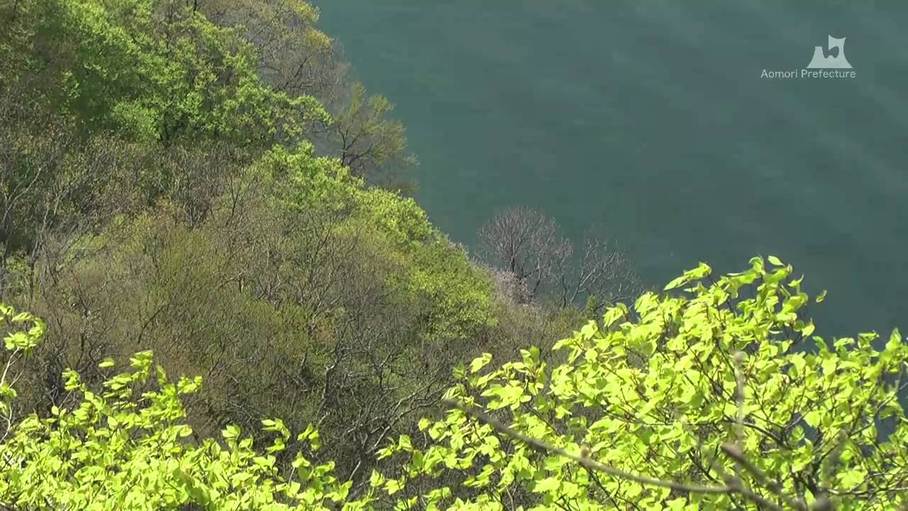 十和田湖（春夏）1