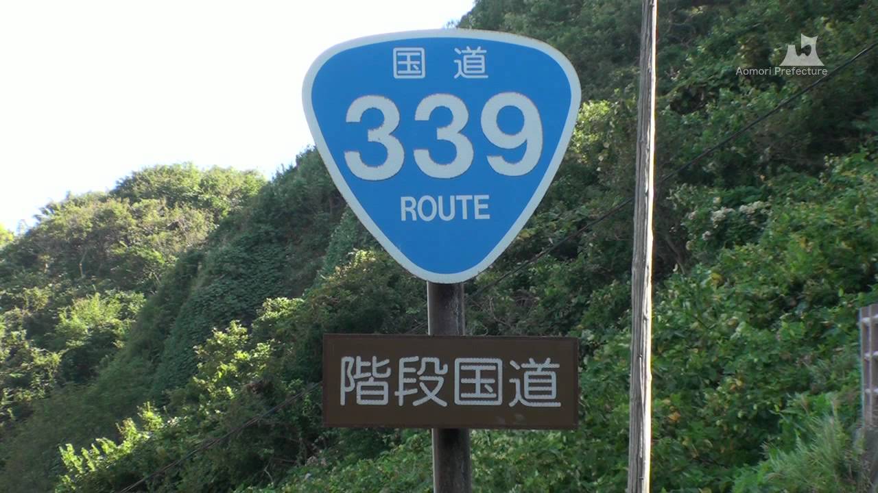 国道339号線【階段国道】