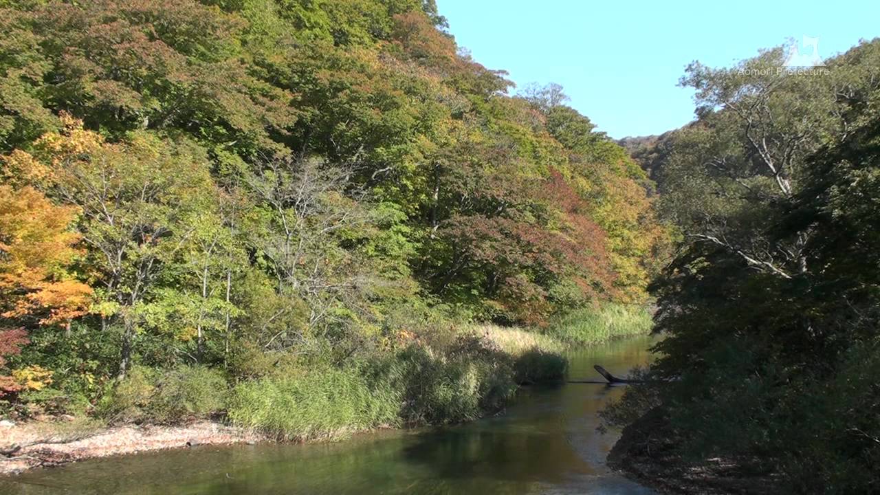 十和田湖（秋）・子ノ口
