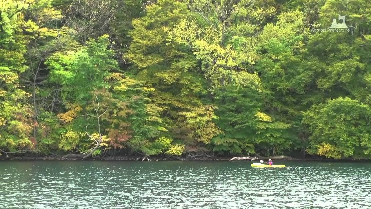十和田湖 (秋)・遊覧船