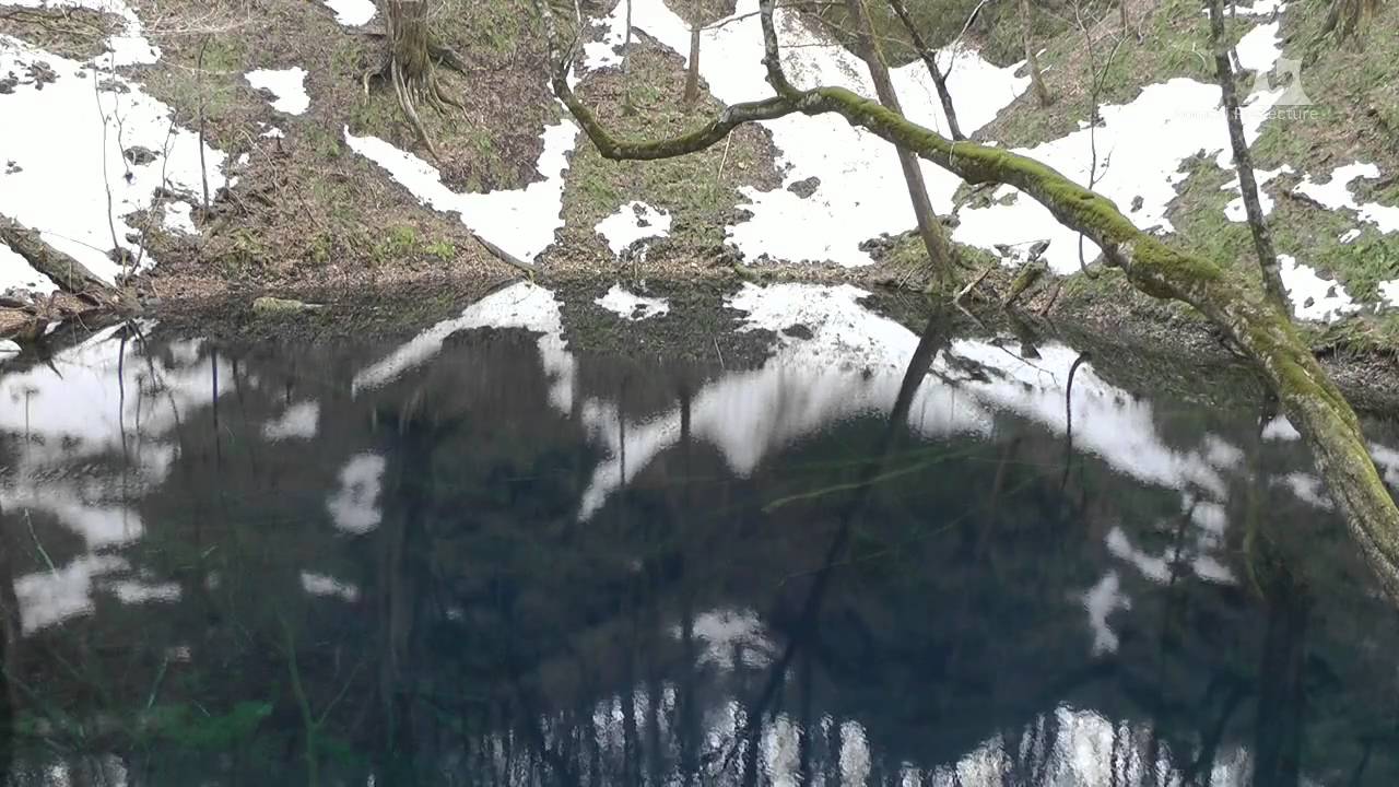 早春の青池（十二湖）