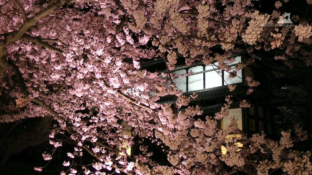 弘前さくらまつりver.3「夜桜」