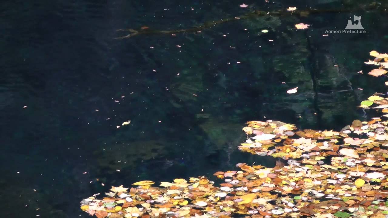 秋の青池（十二湖）