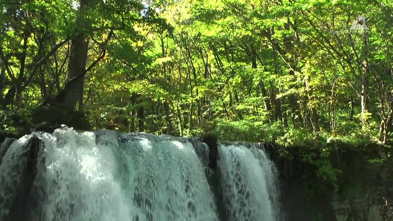 奥入瀬渓流（初秋）