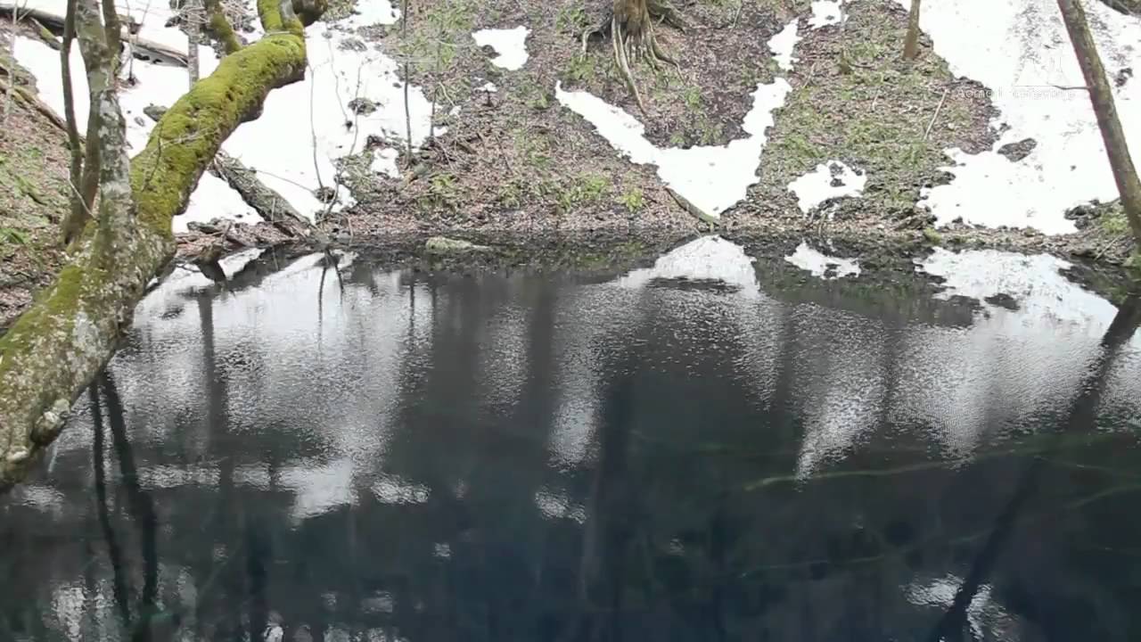 早春の青池（十二湖）