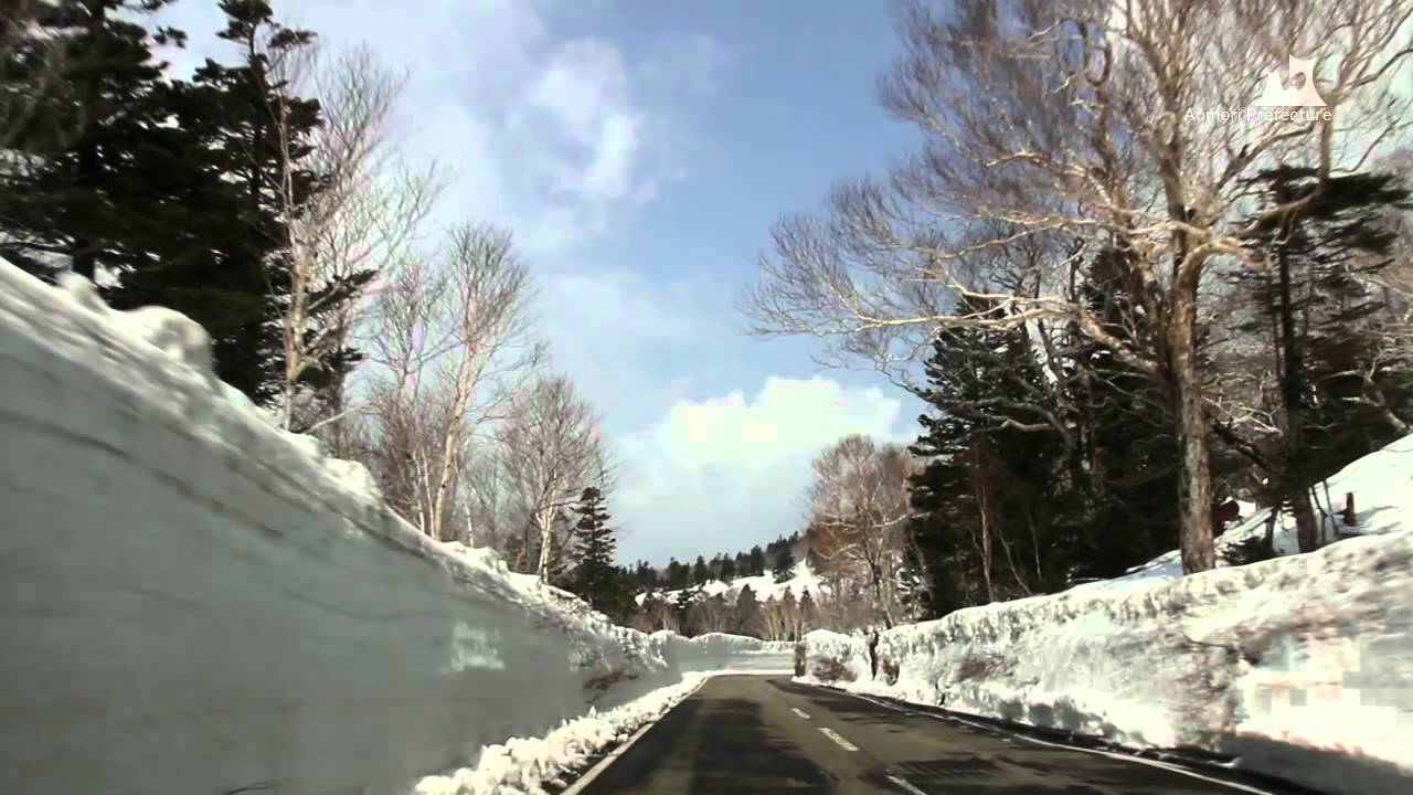 八甲田・十和田ゴールドライン雪の回廊