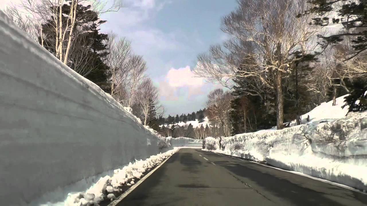 八甲田・十和田ゴールドライン雪の回廊