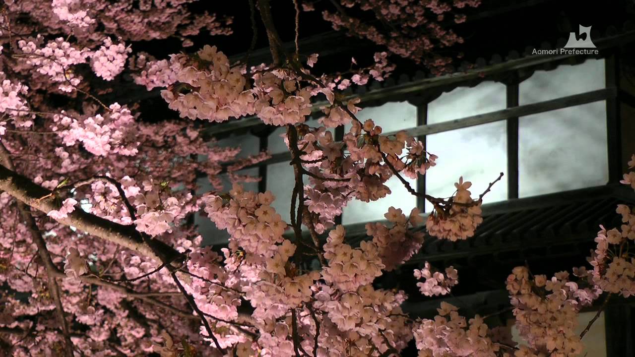 弘前さくらまつりver.3「夜桜」