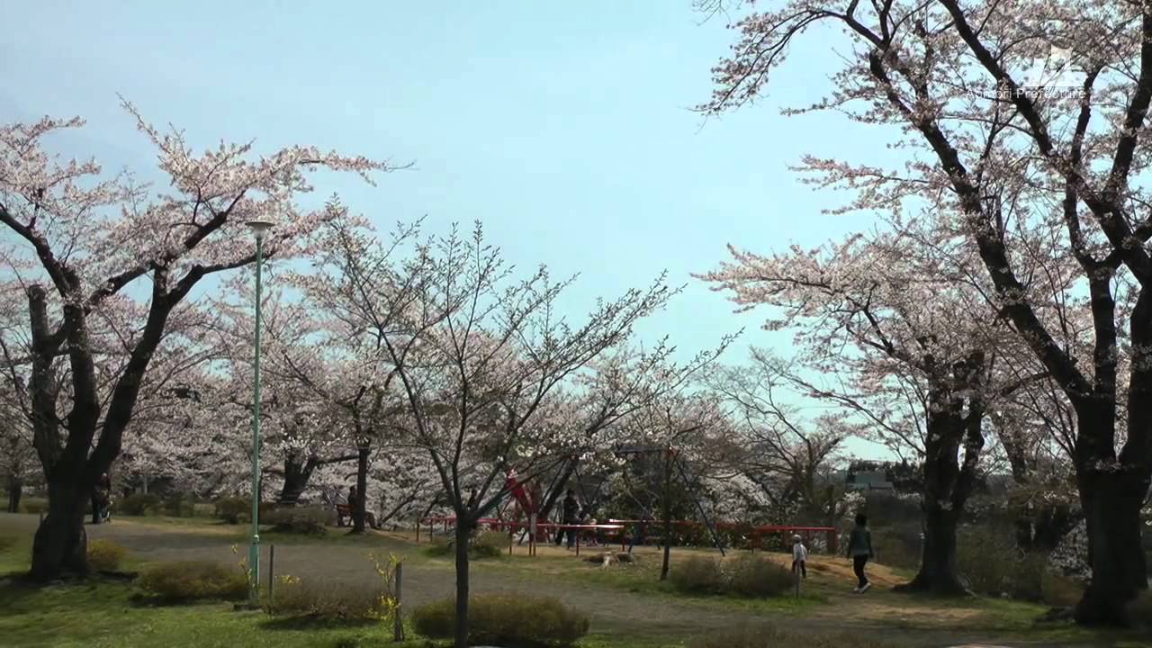 早掛沼公園（春）