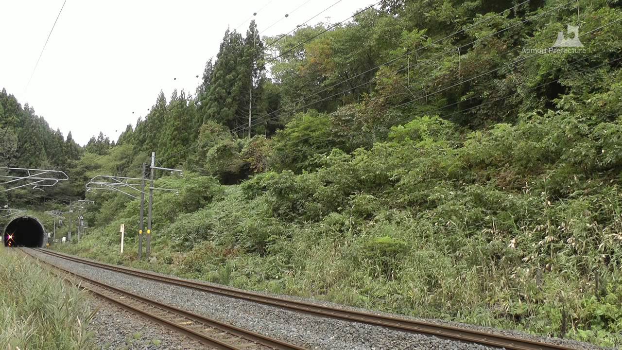 青い森鉄道（2011）