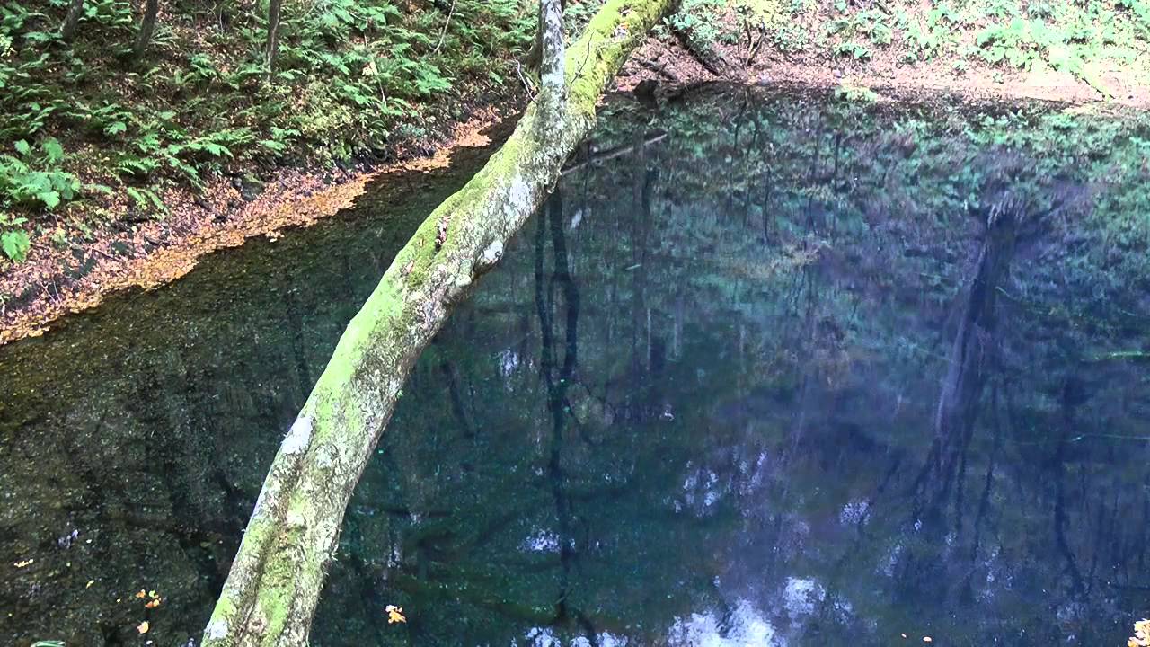 秋の青池（十二湖）